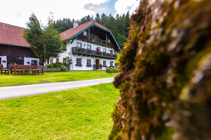 Haus vom Baum aus